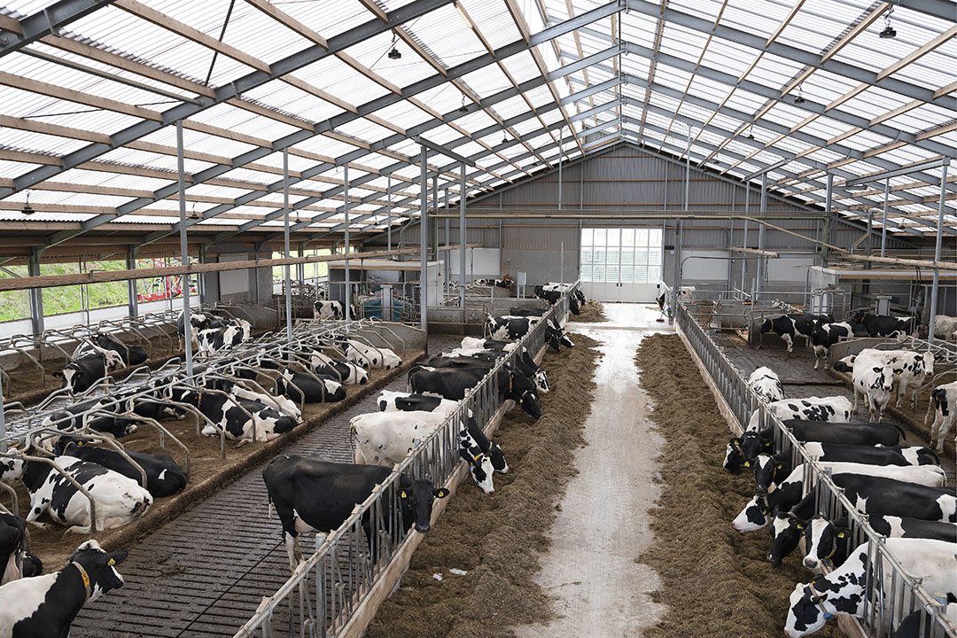 Livestock facility electrical by Post Electric
